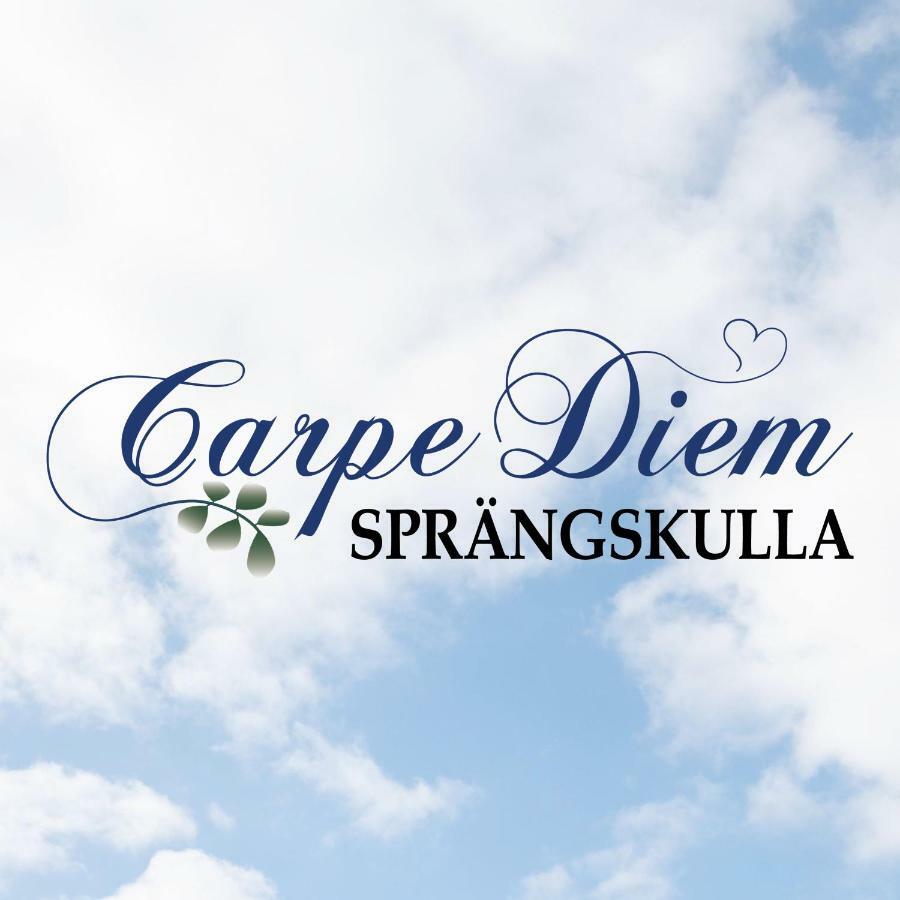 Carpe Diem Spraengskulla Veddige Luaran gambar